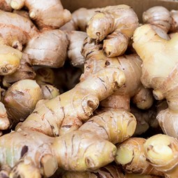 2kg gourmet Bunda Ginga box