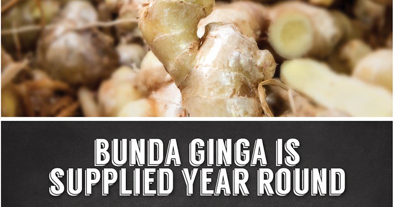 Infograph - Bunda Ginga for All Seasons feature image